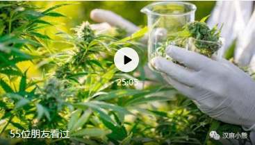 加拿大药用大麻的室内育苗和种植